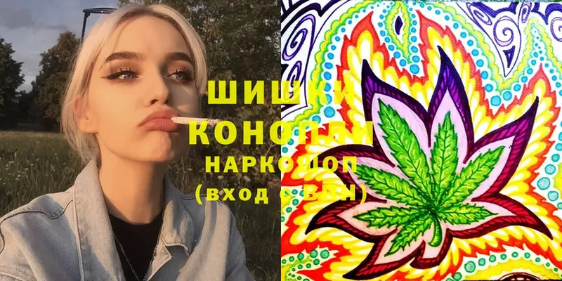 Каннабис SATIVA & INDICA  где купить наркоту  Нижнекамск 